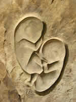 Commissioned sandstone rock carving of twin foetuses entitled 'Twins'